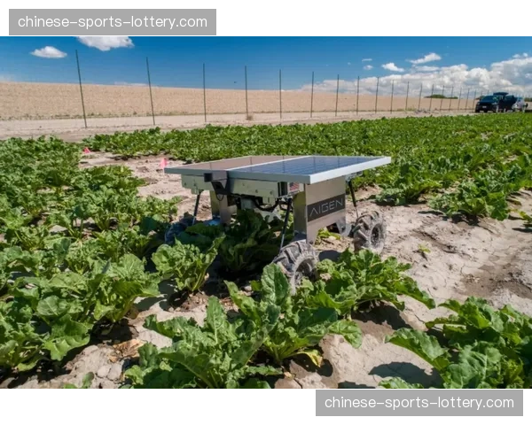 “法甲生态”的环保承诺：联赛所有赛场启动塑料杯回收与数字化碳积分系统